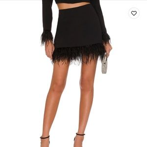 Black Feathered Skirt